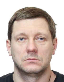 Alexander Olegovich Prudius — image in the 2020 archive diagram